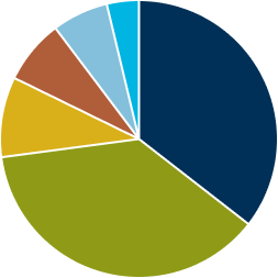 pie chart